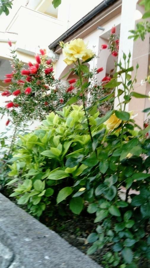 Apartments Ivanovski Rab Town Zewnętrze zdjęcie